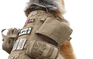 aiwai tactical dog harness with pouches molle vest my little and large pet products marketplace