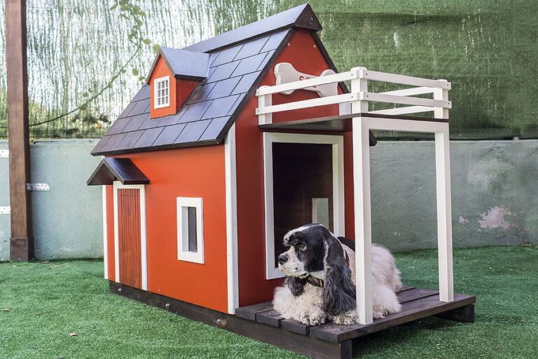 Air Conditioned Dog Houses Pet Comfort In The Heat My Little & Large