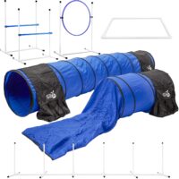 better sporting dogs complete starter agility set for dogs review my little and large pet products marketplace