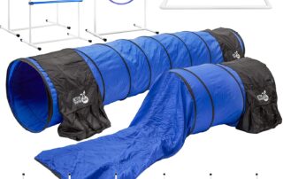 better sporting dogs complete starter agility set for dogs review my little and large pet products marketplace