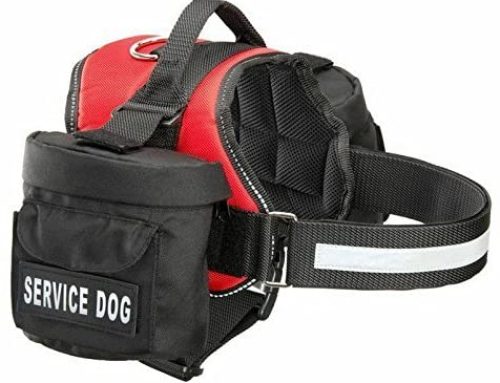 Review – Doggie Stylz Service Dog Harness with Removable Saddlebag Backpack