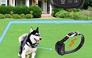 invisible dog fence for dogs my little and large pet products marketplace