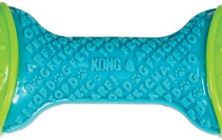kong corestrength bone long lasting dog dental and chew toy review my little and large pet products marketplace