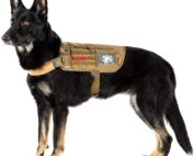 onetigris service dog harness,tactical dog vest review my little and large pet products marketplace