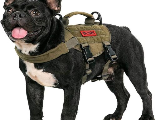 OneTigris Tactical Dog Military Vest Puppy Harness With Handle Review