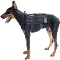 onetigris tactical dog training vest the original review my little and large pet products marketplace