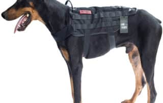 onetigris tactical dog training vest the original review my little and large pet products marketplace