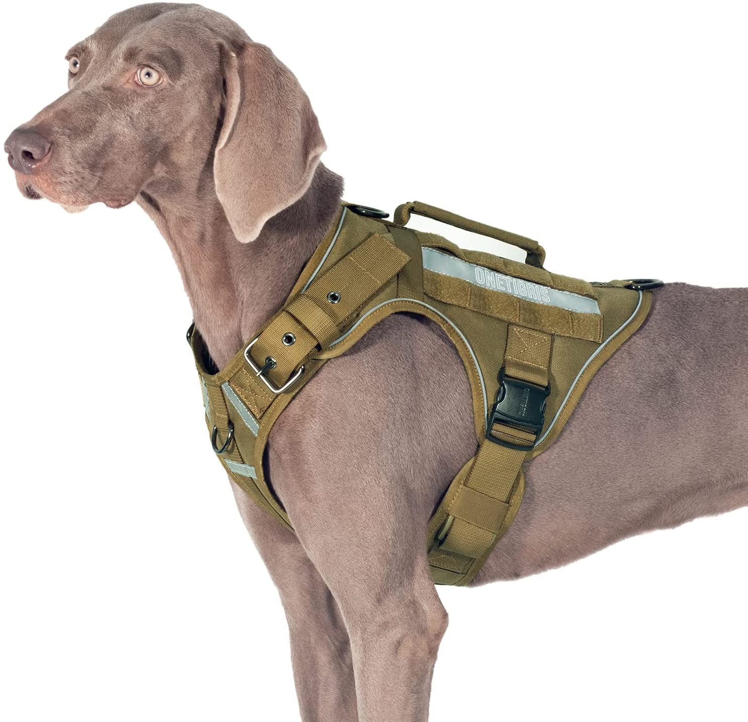 Tactical Dog Harness No Pull Adjustable My Little & Large