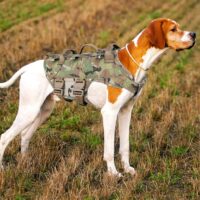 petac gear tactical dog harness k9 military dog training harness review my little and large pet products marketplace
