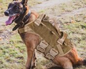 petac gear tactical dog harness k9 working dog vest review my little and large pet products marketplace