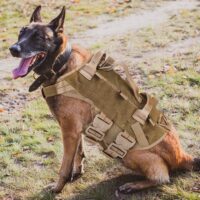 petac gear tactical dog harness k9 working dog vest review my little and large pet products marketplace