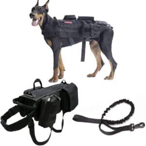 pjddp tactical dog harness and bungee dog leash set for large medium dogs review my little and large pet products marketplace