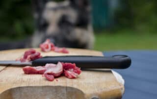 raw food diet for dogs and supplement information my little and large pet products marketplace