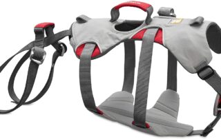 ruffwear doubleback strength rated safety dog harness review my little and large pet products marketplace
