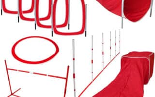 sportpet designs agility training for dogs affordable training kit review my little and large pet products marketplace