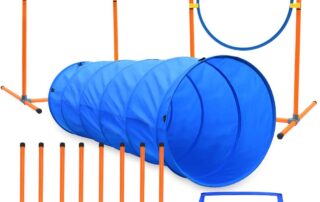 xiaz dog agility course equipments, obstacle agility training starter kit review my little and large pet products marketplace