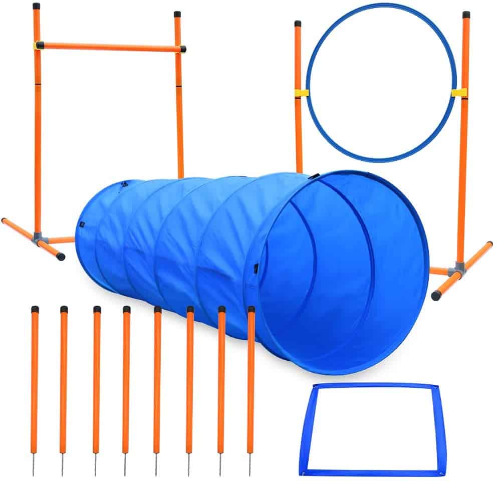 xiaz dog agility course equipments, obstacle agility training starter kit review my little and large pet products marketplace