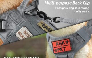 rabbitgoo tactical dog harness vest large with handle review my little and large pet products marketplace