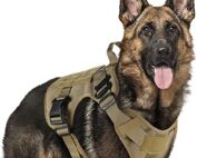 rabbitgoo tactical dog harness for large dogs my little and large pet products marketplace