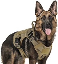 rabbitgoo tactical dog harness for large dogs my little and large pet products marketplace