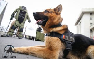 tactical dog harnesses my little and large pet products marketplace