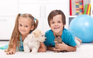 dogs vs cats for kids my little and large pet products marketplace