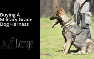 buying a military grade dog harness