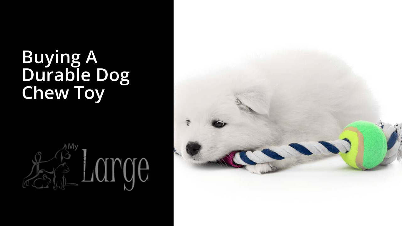 buying a durable dog chew toy