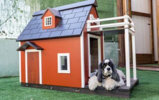 kennels for pets