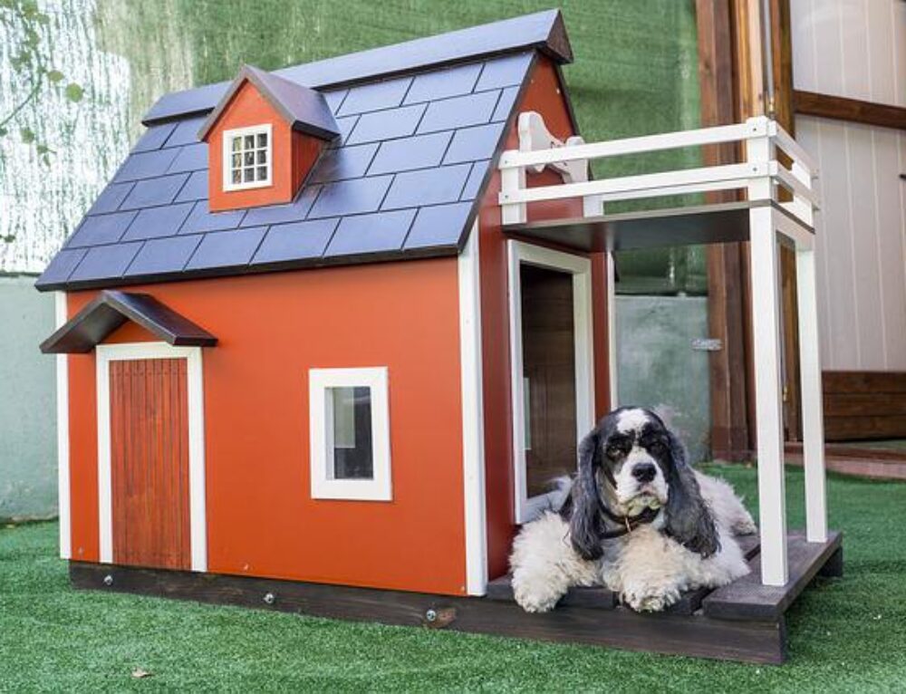 Best Air Conditioned Dog Houses Pet Comfort My Little And Large
