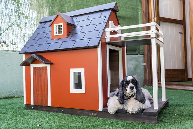 kennels for pets