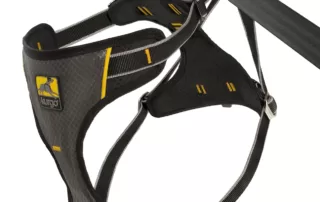 kurgo impact dog car harness