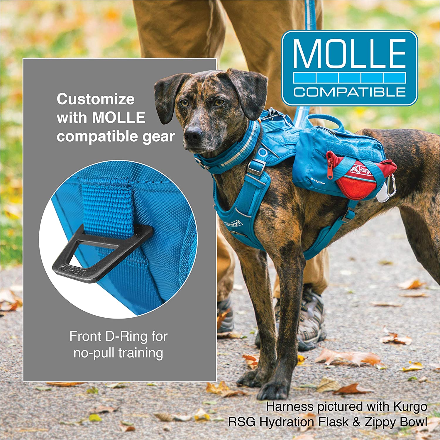 Review Kurgo RSG Dog County Harness My Little & Large Pet Products