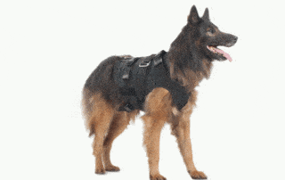 tactical dog vests my little and large pet products marketplace