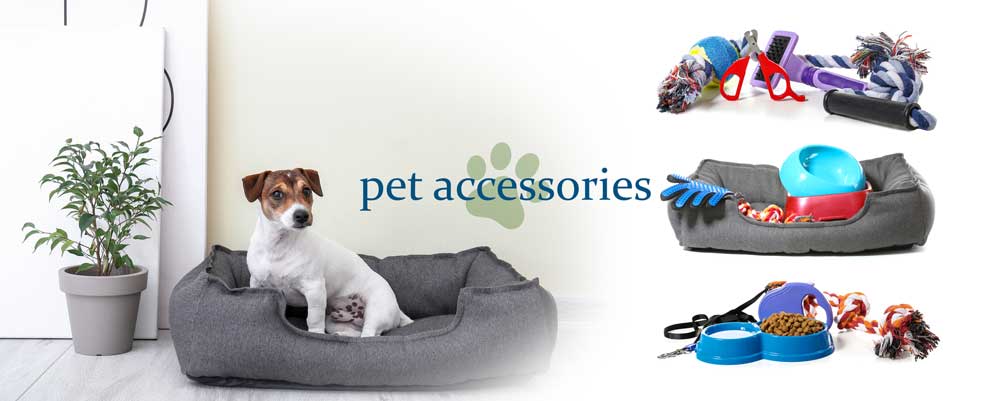 must have accessories and training aides for your dog kennel my little and large pet marketplace