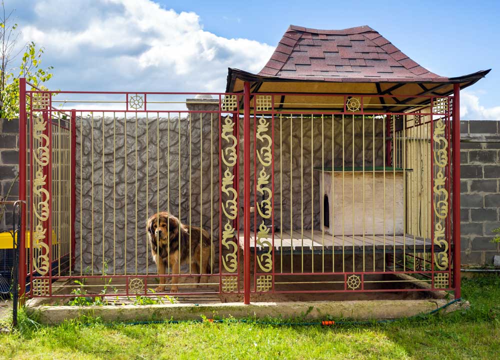 weatherproofing your dog kennel my little and large pet marketplace