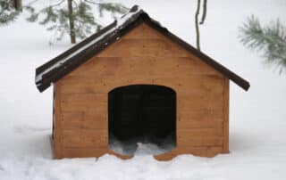 the ultimate guide to choosing the right heated dog house for your pet my little and large pet marketplace