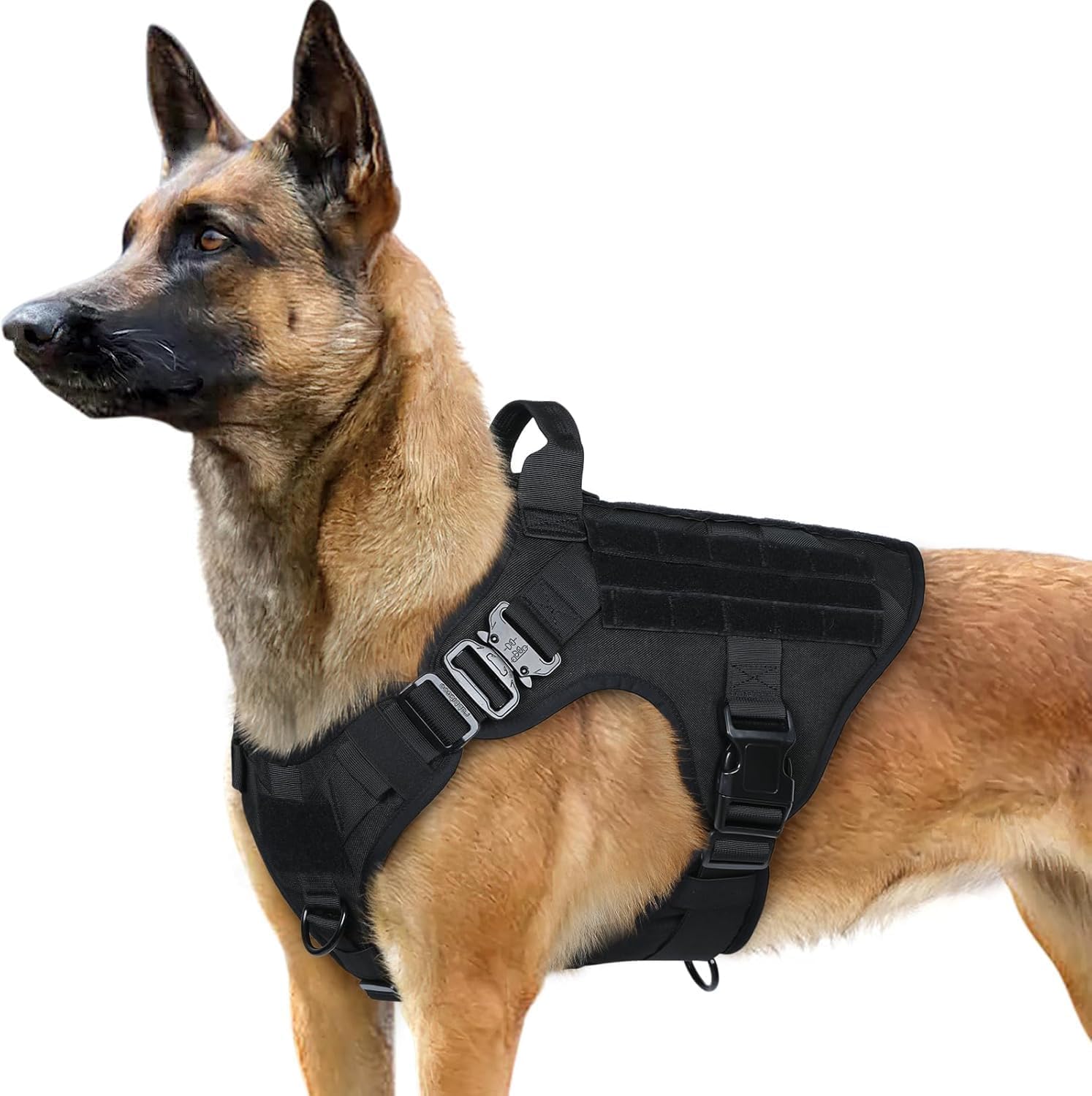 rabbitgoo no-pull dog harness XL with handle and two metal D-rings — best value no pull harness for a Mastiff