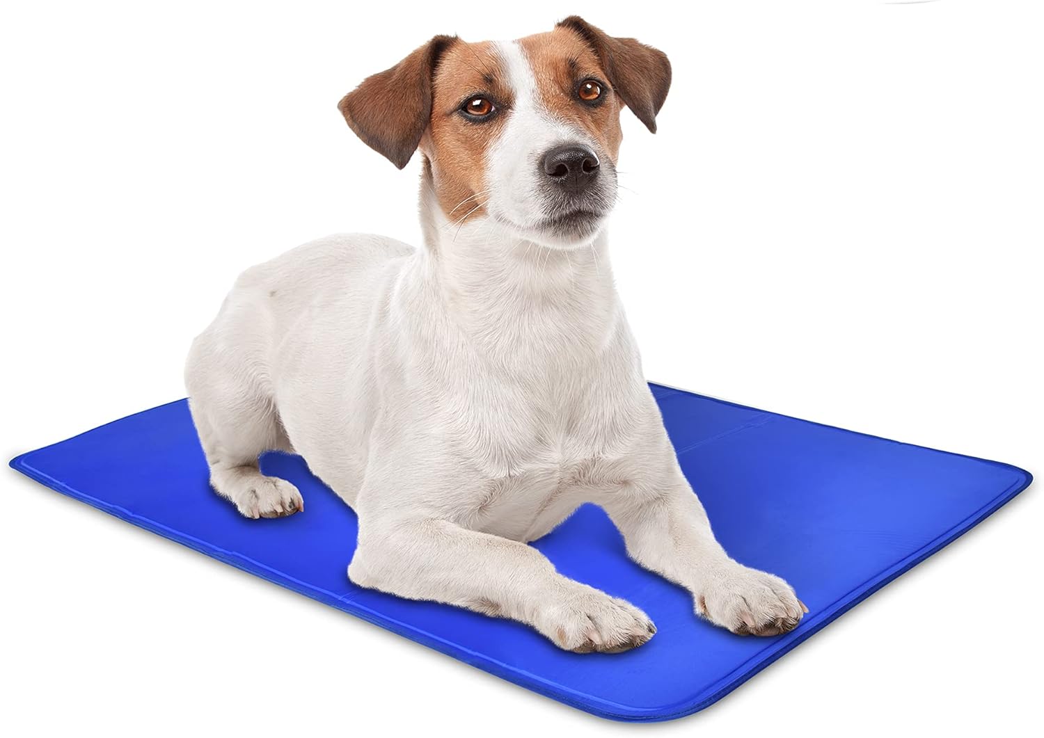 Dog lying on the Arf Pets self-cooling gel mat