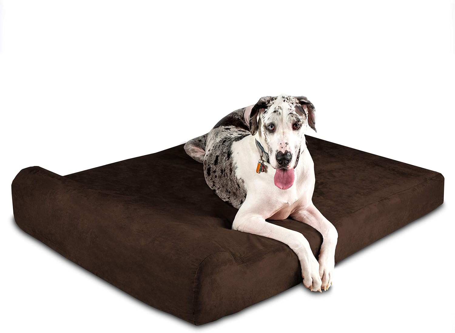 Big Barker 7-inch giant orthopedic dog bed with a Great Dane lying on it, the best orthopedic bed for a giant breed like a Cane Corso