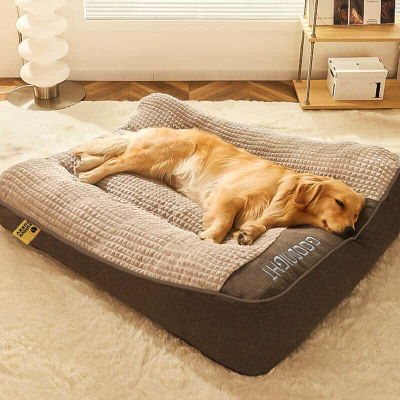 FunnyFuzzy large thick orthopedic dog bed, a giant washable orthopedic bed for a Great Dane