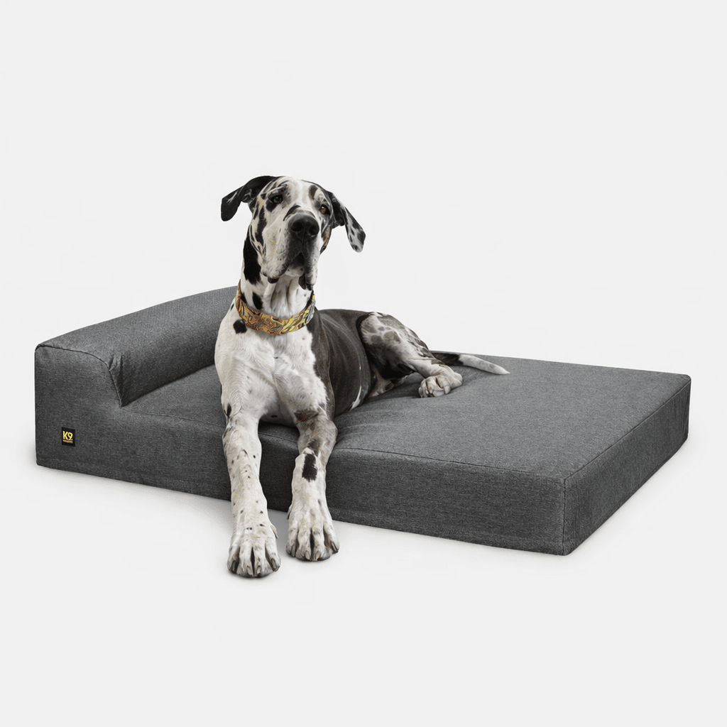 K9 Ballistics Tough Ripstop Giant 7-inch bolster orthopedic dog bed with a Great Dane resting on it