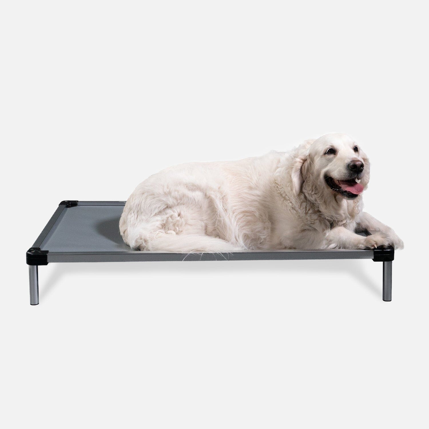 K9 Ballistics Chew Proof Armored vinyl elevated dog bed cot with airflow underneath, the coolest and most durable bed for a Husky
