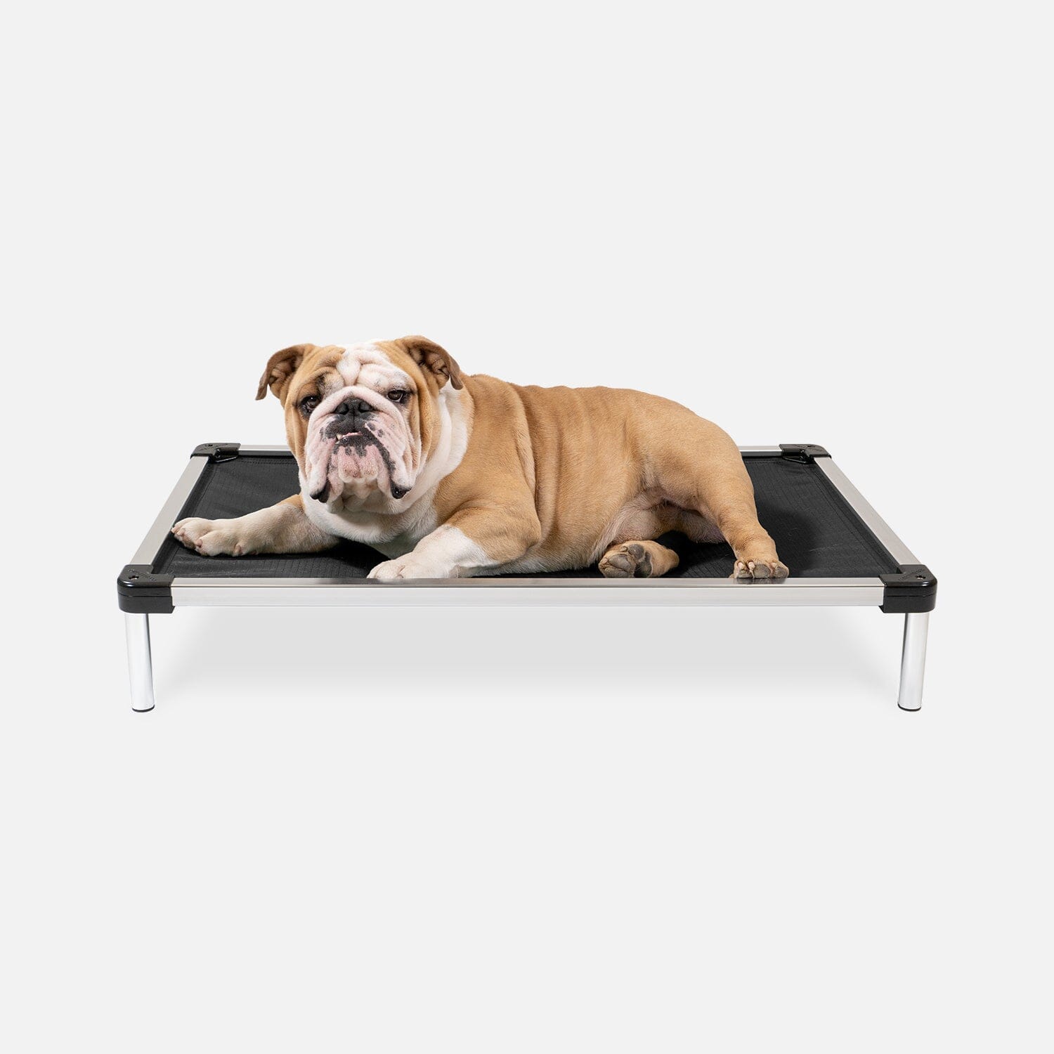 K9 Ballistics Chew Proof Armored elevated dog bed, an indestructible cot for a destructive Pit Bull