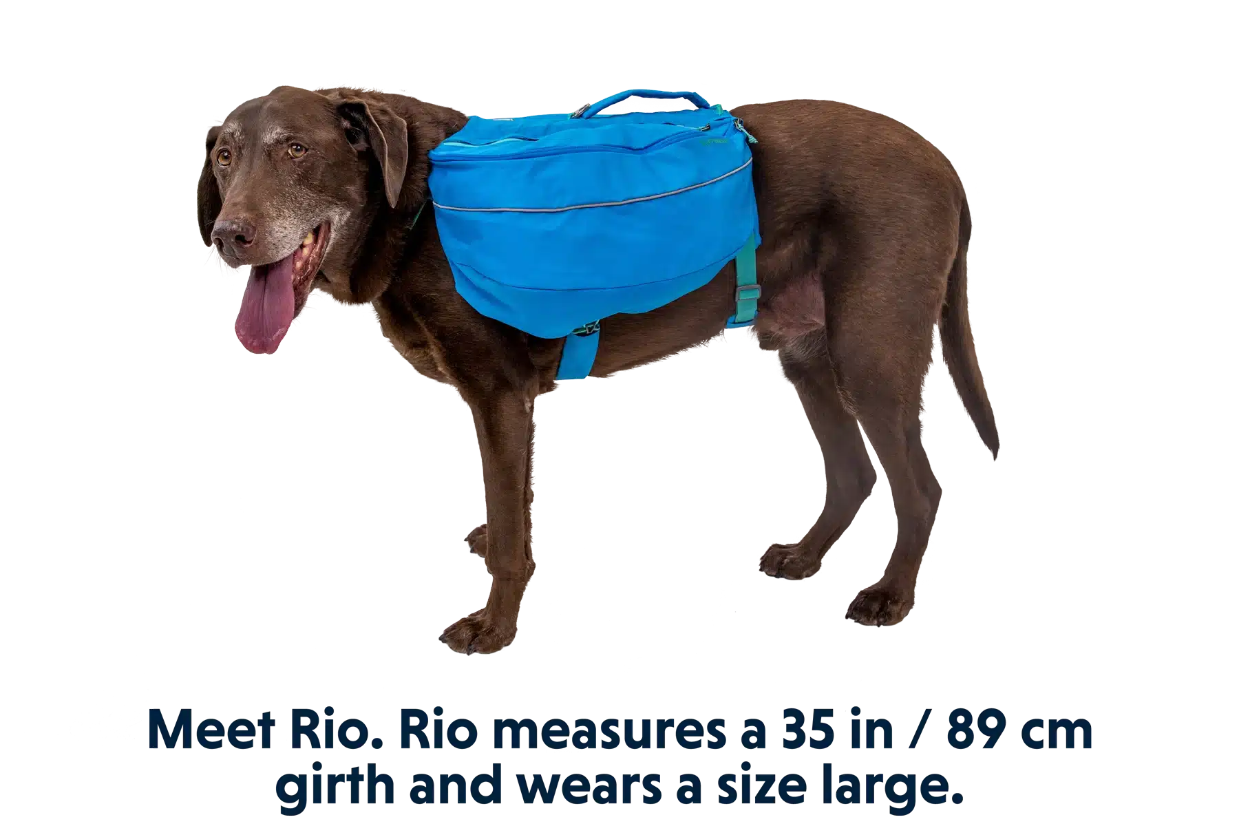 Large dog wearing a Ruffwear Approach Pack saddlebag hiking backpack on a trail