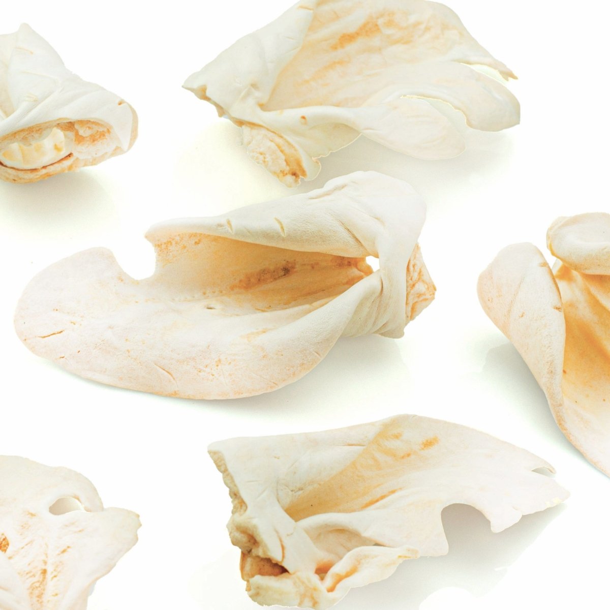 Premium Thick-Cut Cow Ear (25 Pack)