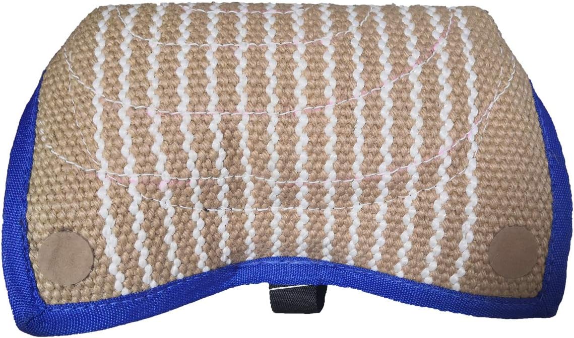 Pet Supplies : Tealover Dog Bite Pillow Wedge 2 Handles Interactive for Puppies 