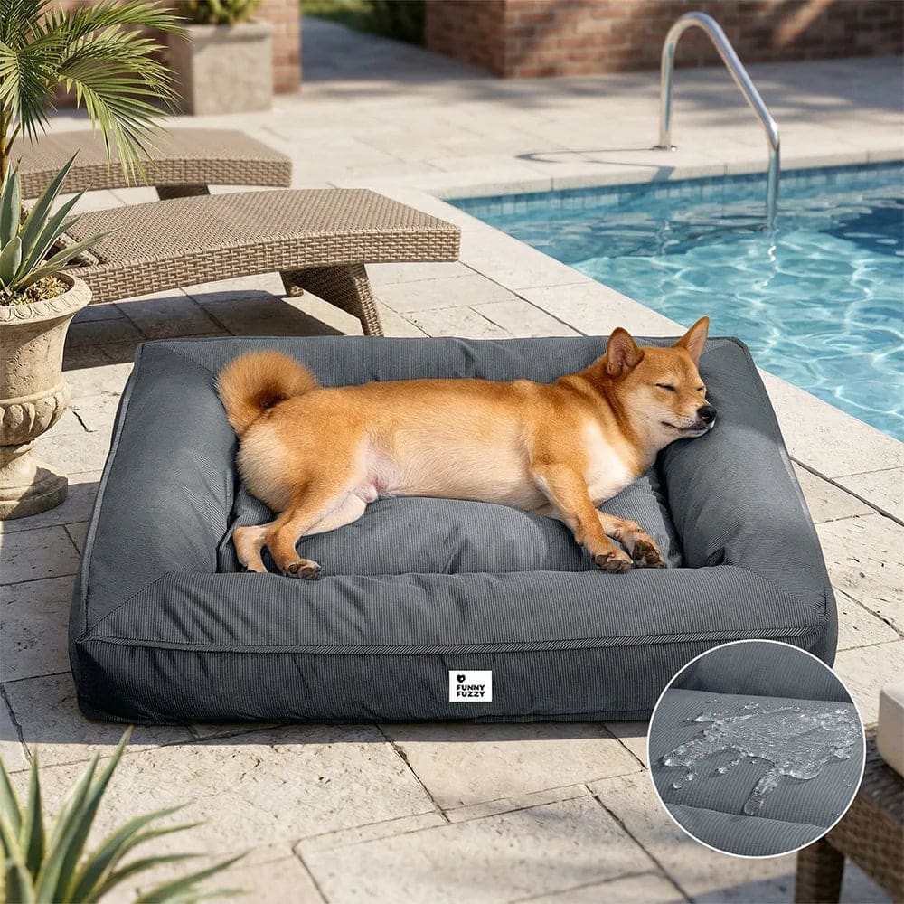 Waterproof orthopedic outdoor dog bed for a large dog on a hot porch