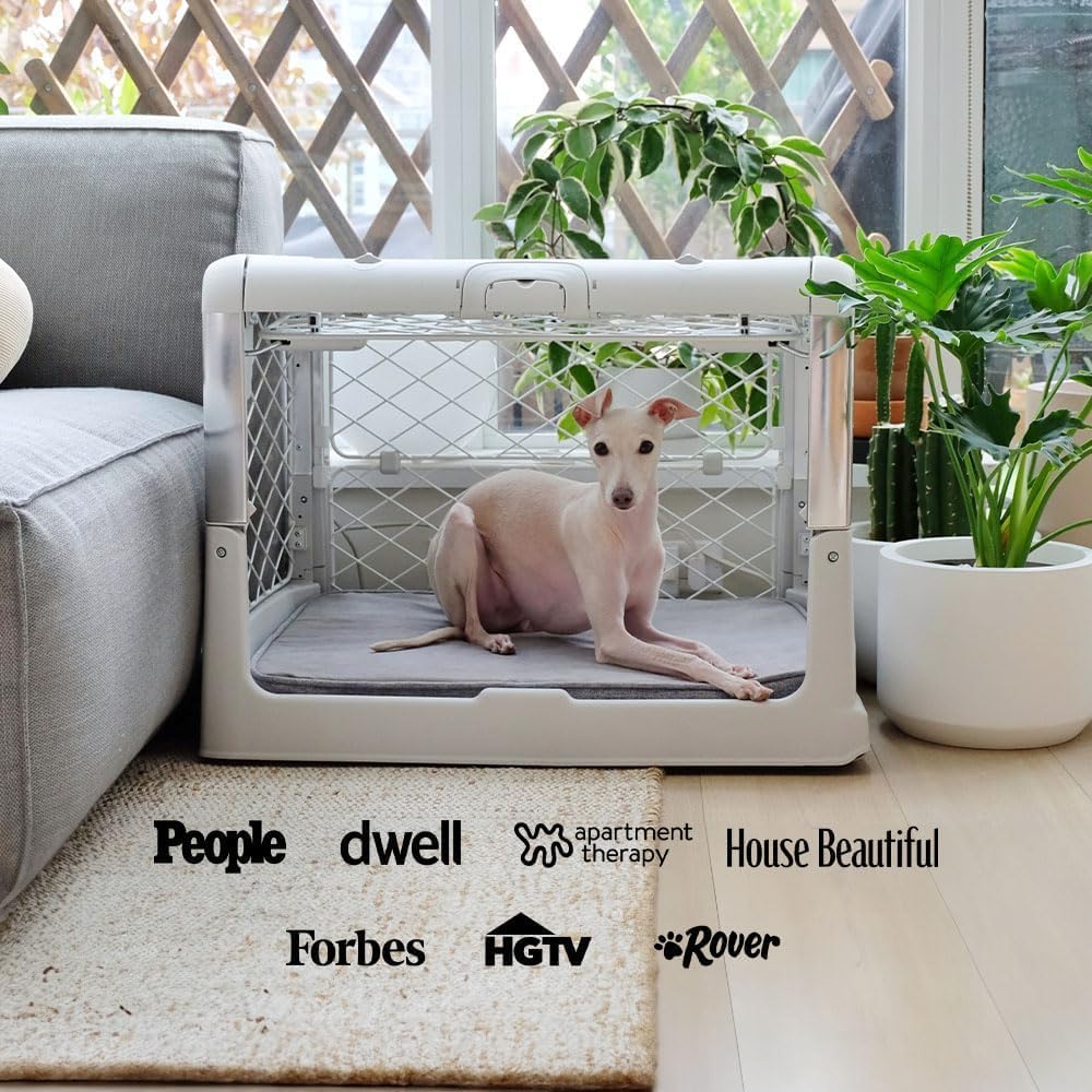 Diggs Revol dog crate set up in a living room with a dog resting inside
