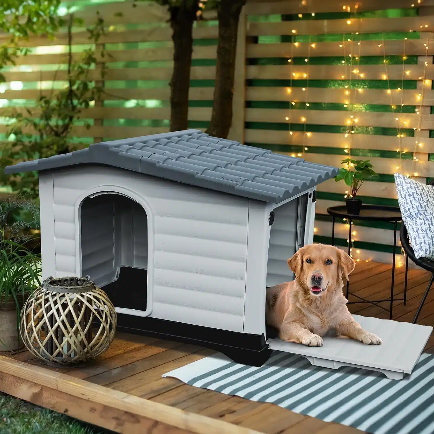 DWVO elevated dog house with water-resistant cushion
